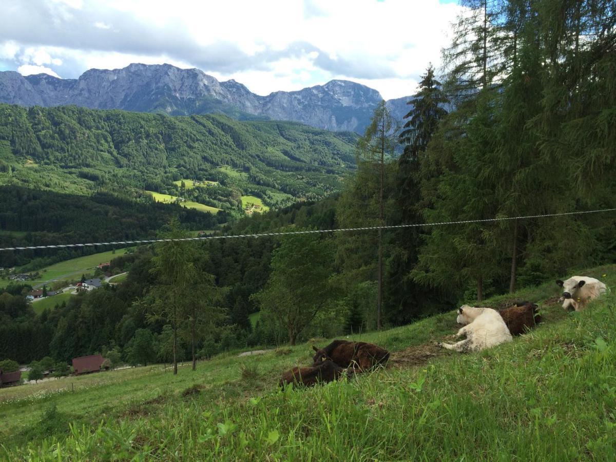 Kreitalm - Kraftplatz Im Salzkammergut Neukirchen  Εξωτερικό φωτογραφία