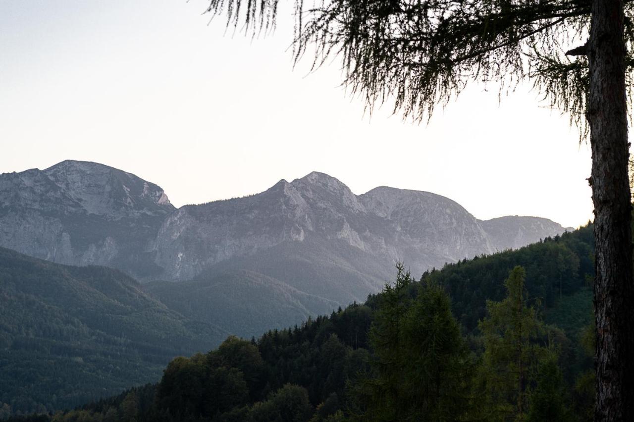 Kreitalm - Kraftplatz Im Salzkammergut Neukirchen  Εξωτερικό φωτογραφία