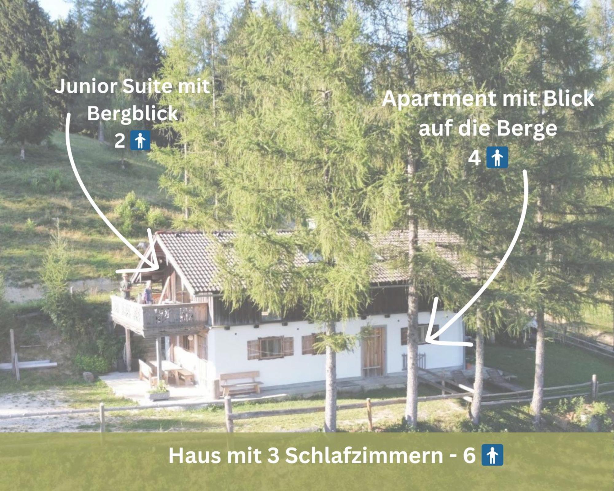 Kreitalm - Kraftplatz Im Salzkammergut Neukirchen  Εξωτερικό φωτογραφία